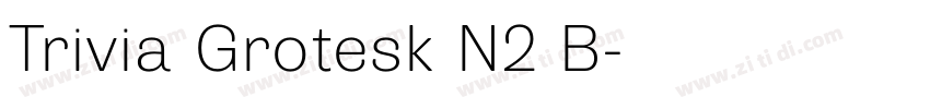 Trivia Grotesk N2 B字体转换 Trivia Grotesk N2 B字体转换